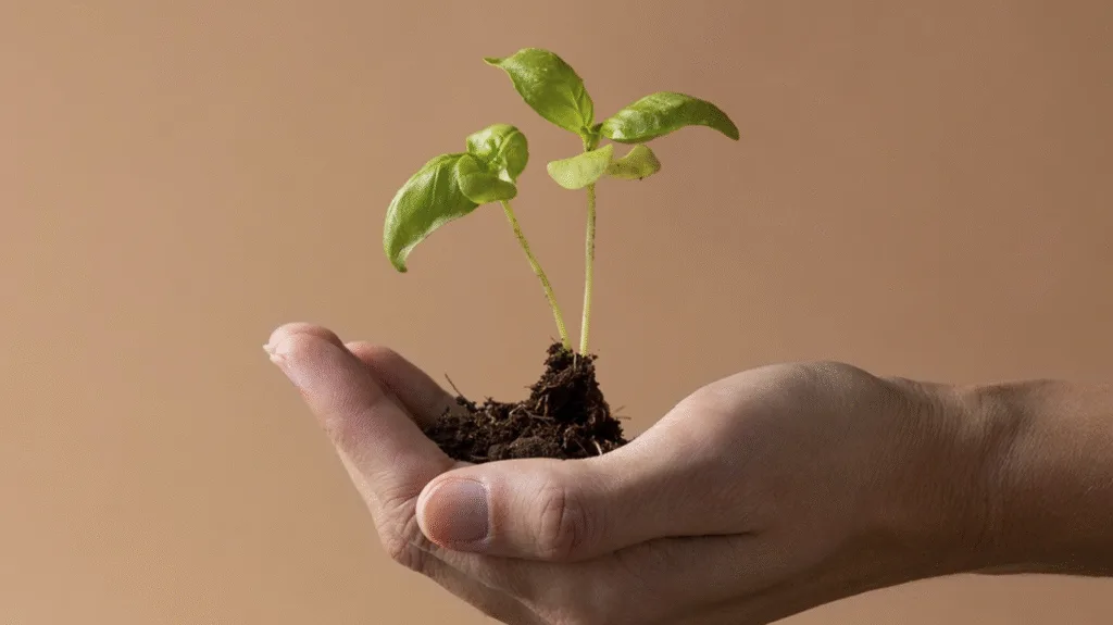 How to Create Evergreen Content that Drives Traffic for Years?