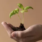 How to Create Evergreen Content that Drives Traffic for Years?